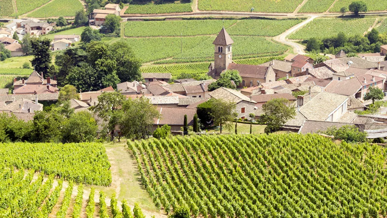 Vigneti rigogliosi circondano un villaggio con una chiesa a Pouilly.