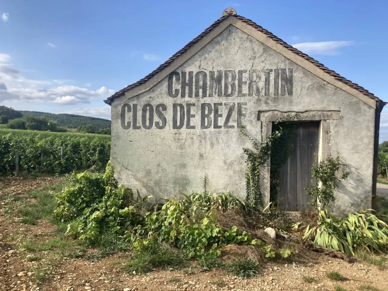 Vecchio casotto in pietra con scritta "CHAMBERTIN CLOS DE BEZE" sbiadita, circondato da vigneti rigogliosi sotto un cielo azzurro.