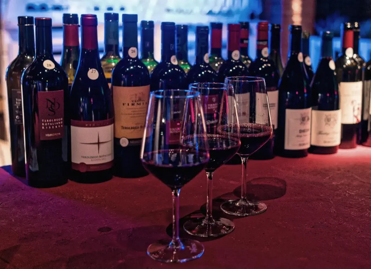 Degustazione di vini rossi, tra cui Teroldego Rotaliano, provenienti dal Trentino Alto Adige. Le bottiglie sono allineate, con tre calici pieni in primo piano.