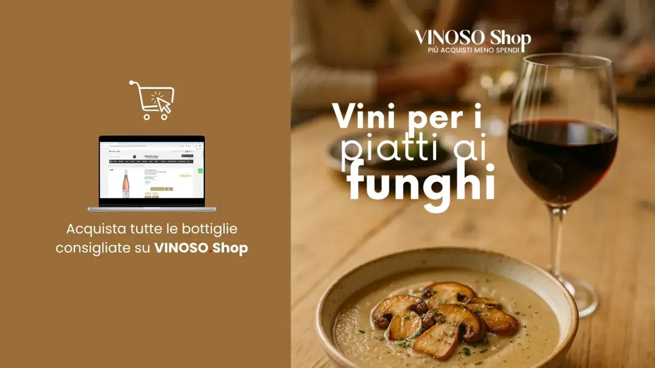 Vino da abbinare ai funghi: un calice di rosso accanto a una crema di funghi. Acquista le bottiglie consigliate su VINOSO Shop.