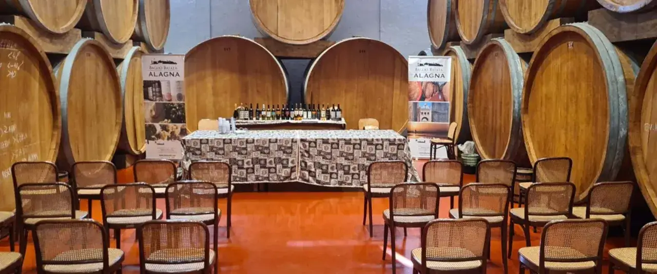 Botti di legno accolgono una degustazione di vino marsala. Sedie di paglia attendono gli ospiti in questa cantina.