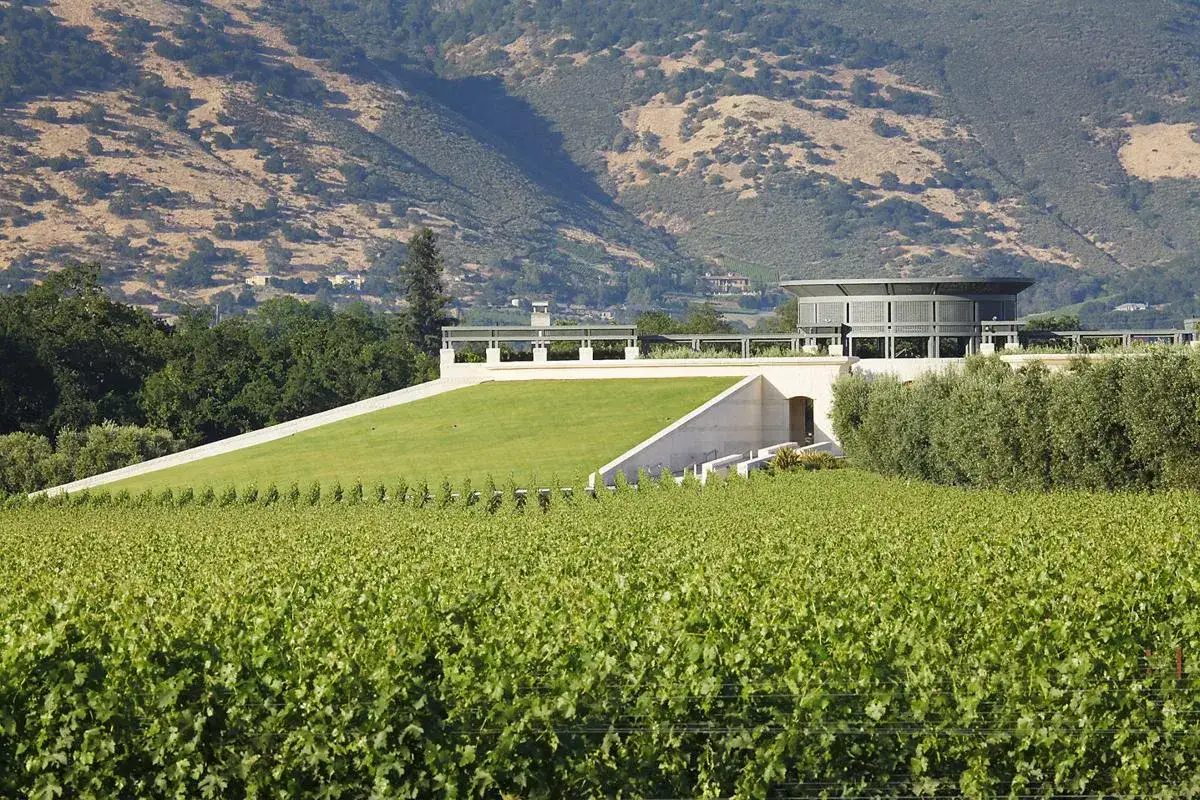 Vigneti lussureggianti circondano una cantina moderna, simbolo del famoso vino californiano.