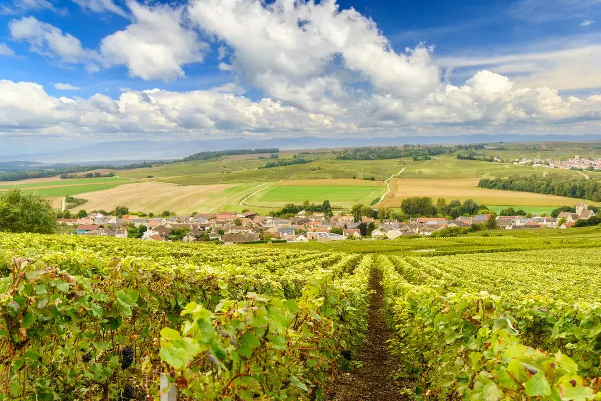 Vigneti rigogliosi si estendono verso un villaggio pittoresco, con colline ondulate e nuvole bianche in cielo. Un paesaggio da sogno nel cuore del champagne Francia.