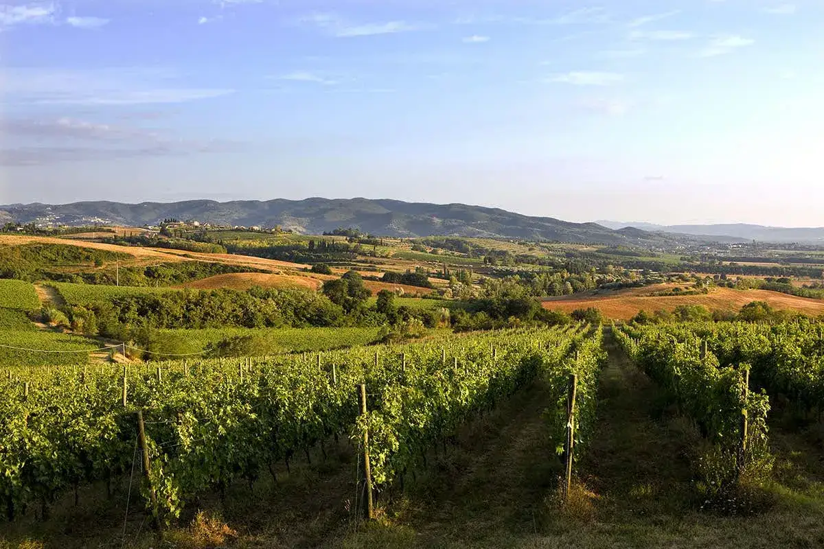 Colline umbre con vigneti rigogliosi, promettendo un vino DOCG Umbria di alta qualit&agrave;. Paesaggio bucolico sotto un cielo azzurro.