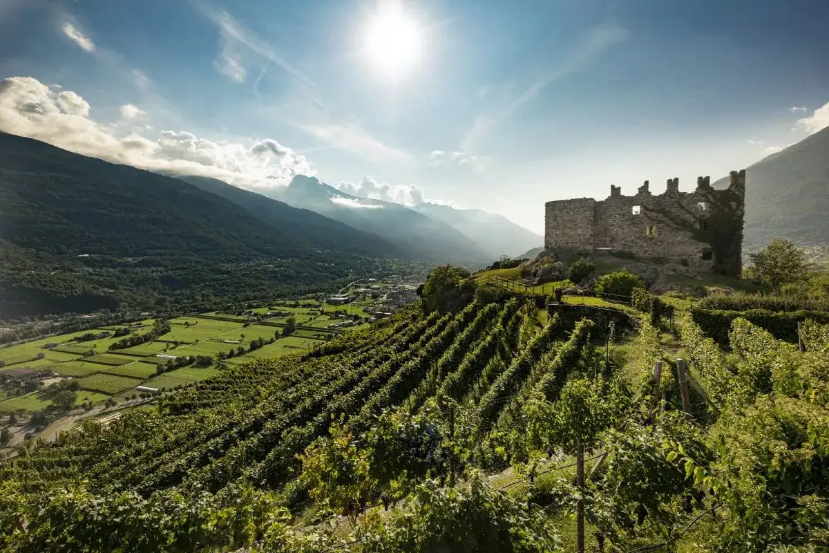 Rovine di un castello su una collina con vigneti terrazzati, che dominano una valle alpina. Il sole splende tra le nuvole, illuminando i famosi vini Valtellina.