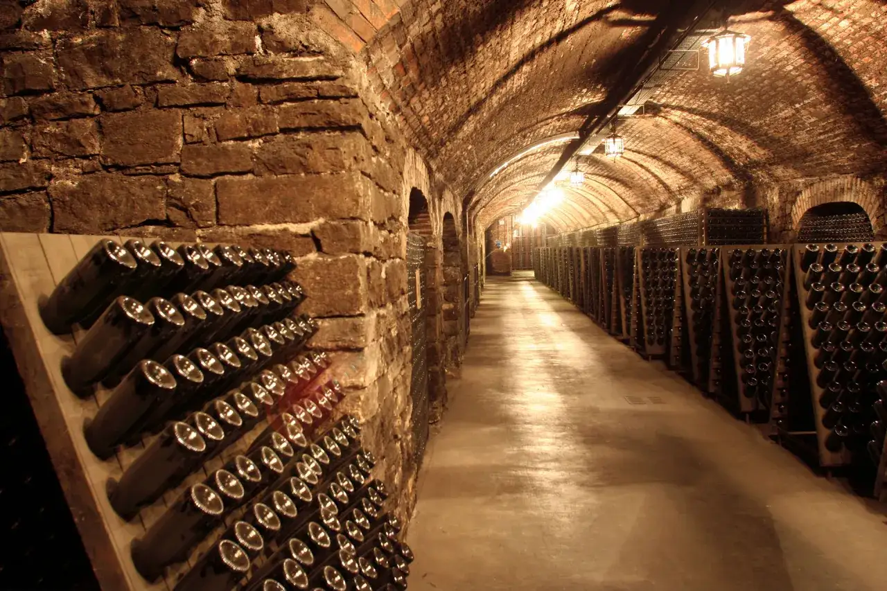 Cantina sotterranea con file di bottiglie, un luogo ideale per affinare il vino umbro famoso.