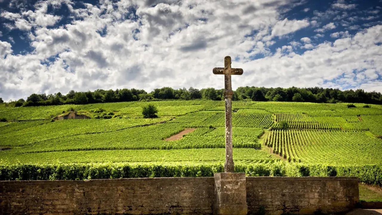 Croce in pietra su un vigneto rigoglioso, con file ordinate di viti che salgono sulla collina. Un paesaggio che evoca la qualit&agrave; del chablis premier cru.