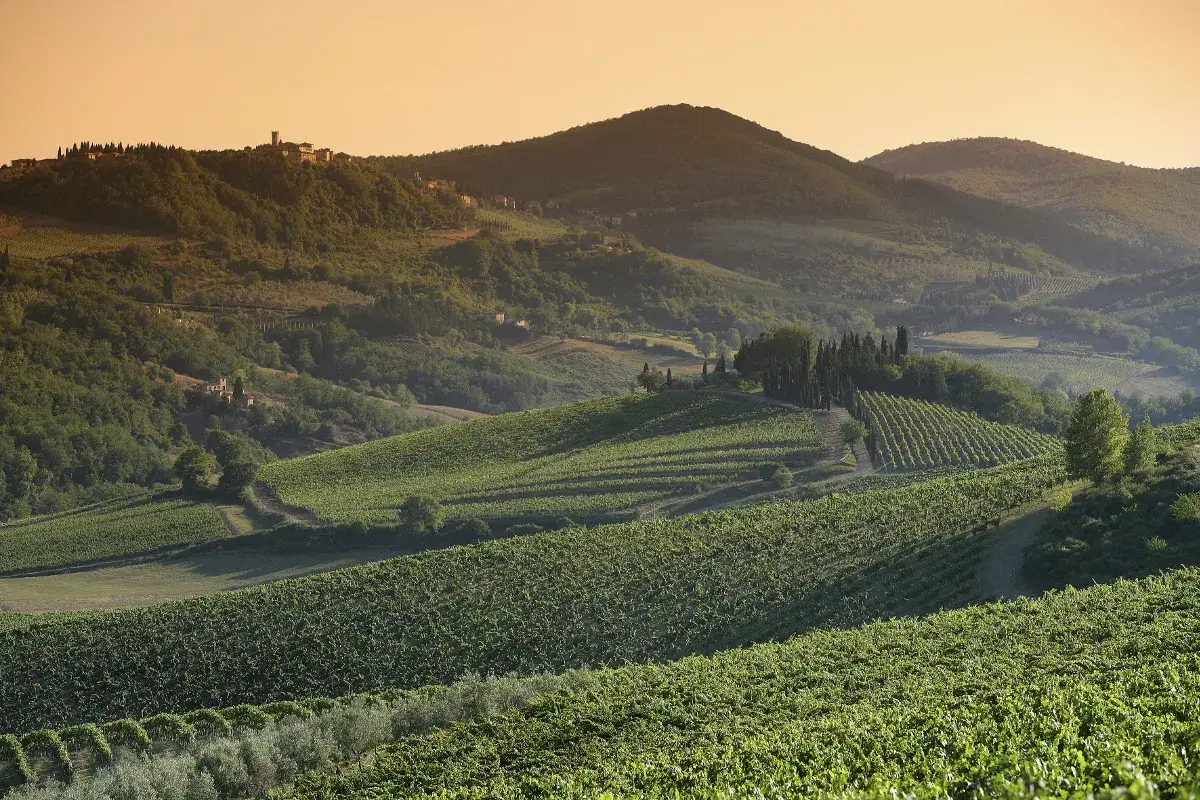 Colline toscane al tramonto, vigneti rigogliosi e un borgo in lontananza, perfetti per le migliori annate di vino rosso Italia.
