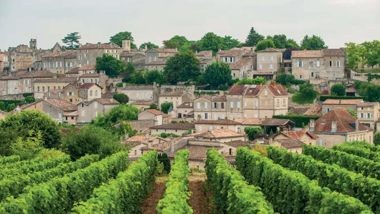 Vigneti rigogliosi abbracciano il borgo storico di Saint-&Eacute;milion, con le sue case in pietra e i tetti rossi che si stagliano sulla collina.