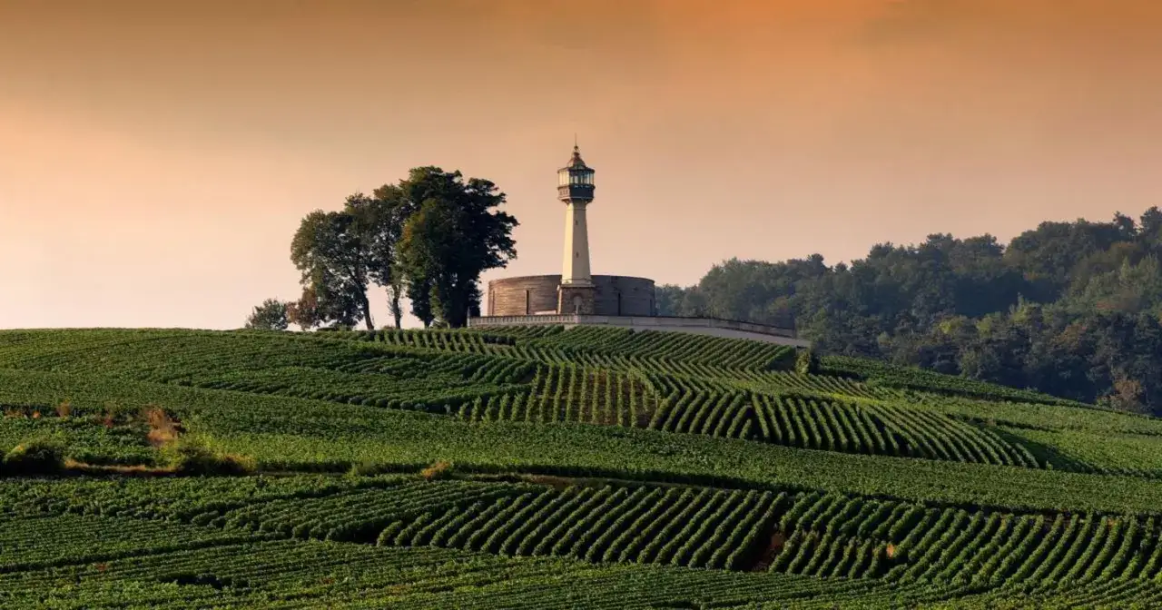Vigneti rigogliosi nella valle della Marna Champagne, con un faro solitario che domina la collina al tramonto.