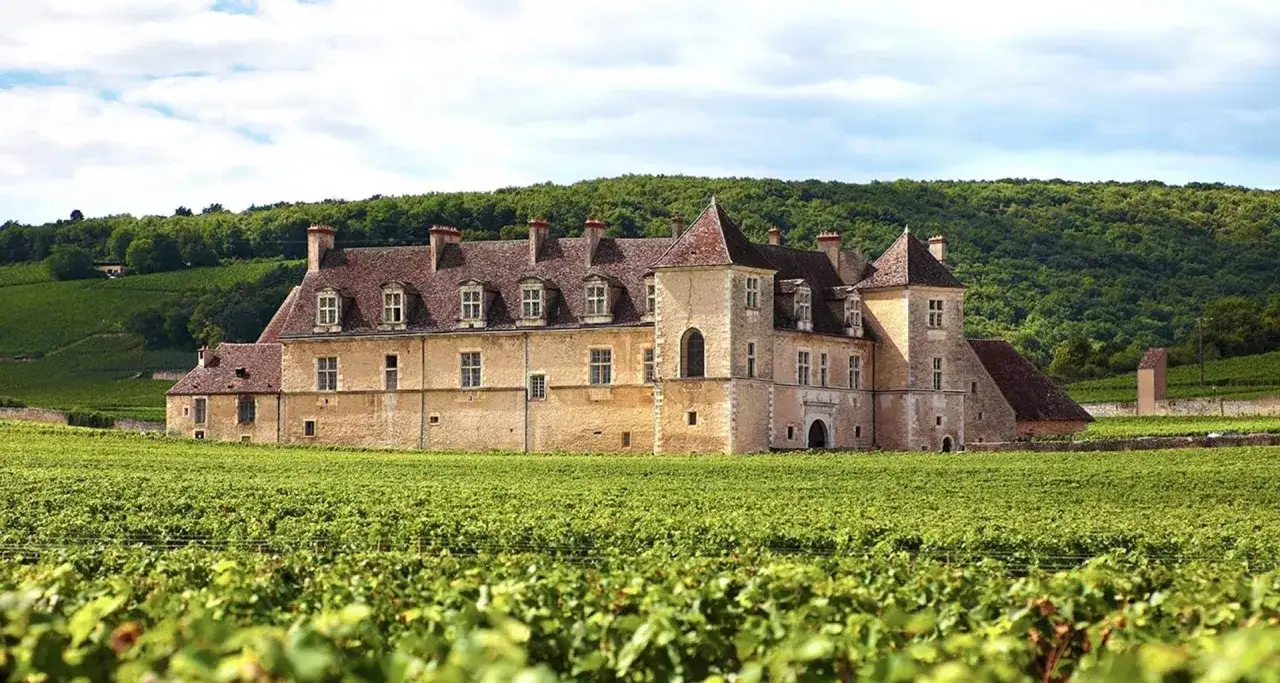 Un magnifico castello circondato da un vasto clos di vigneti. Le colline verdi sullo sfondo creano uno scenario idilliaco.