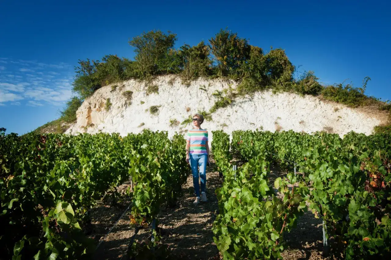 Donna passeggia tra i filari di viti in un vigneto, con una scogliera bianca sullo sfondo. Immagina il profumo del futuro champagne AOC.