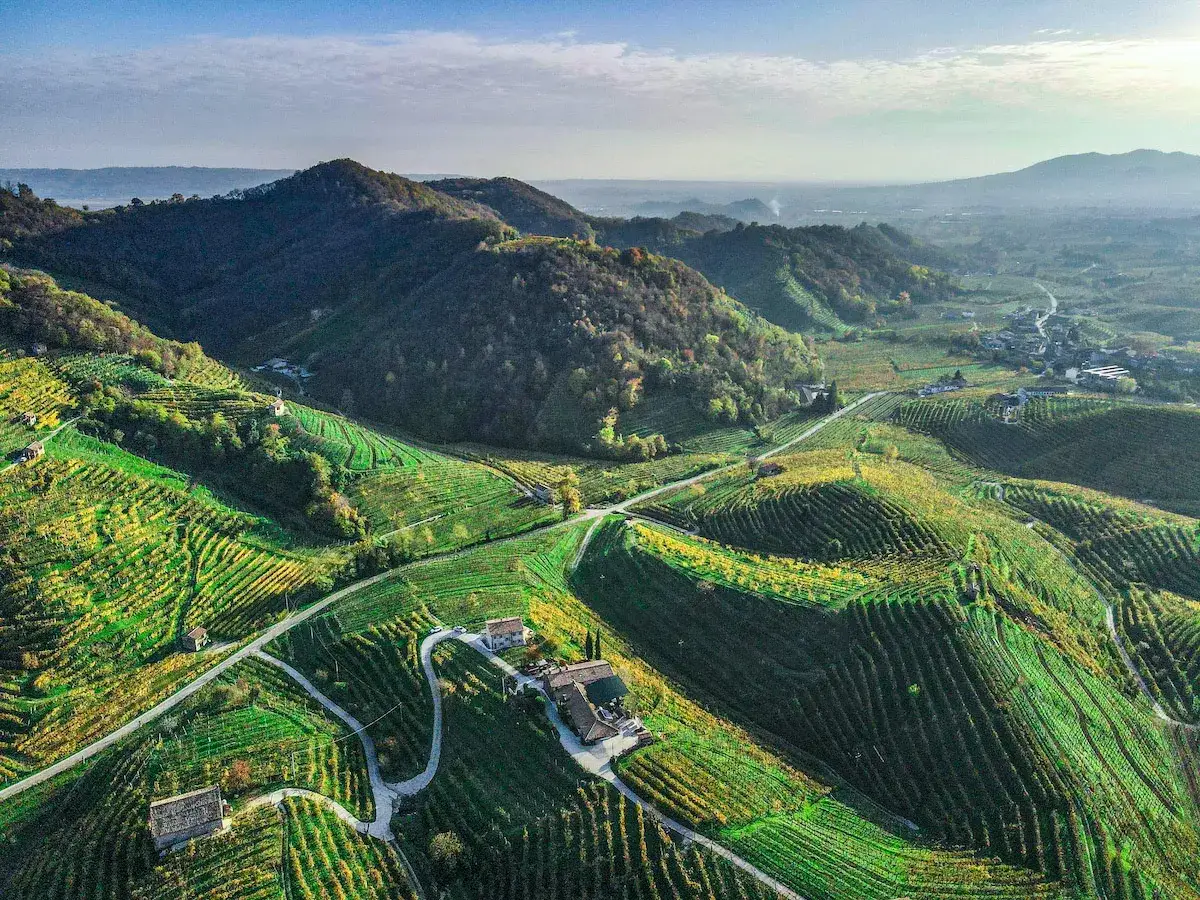 Colline ondulate ricoperte di vigneti verdi e gialli, dove nascono i pregiati vini veneti. Strade serpeggianti conducono a casolari isolati.