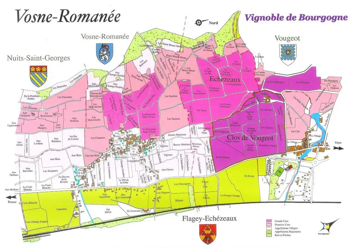 Mappa dei vigneti della Borgogna: un viaggio tra i cru di Vosne-Roman&eacute;e, Vougeot e Flagey-Echezeaux, con i prestigiosi grand cru Borgogna evidenziati.