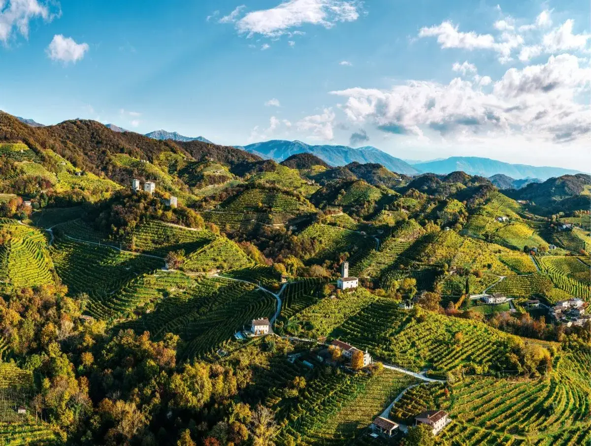 Colline ondulate ricoperte di vigneti terrazzati, dove nascono i pregiati vini veneti. Case sparse e torri antiche punteggiano il paesaggio.
