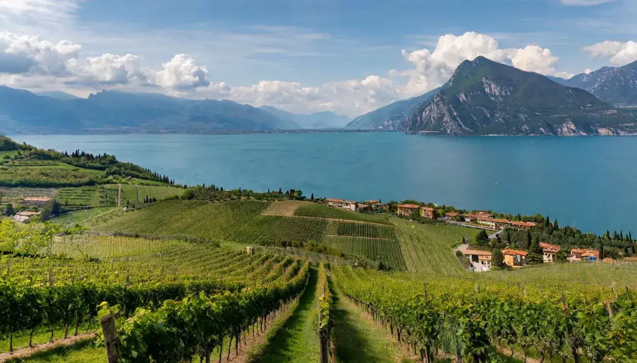 Vigneti rigogliosi scendono verso un lago azzurro, con montagne sullo sfondo. Un paesaggio che fa capire perch&eacute; si chiama Franciacorta, terra di eccellenze.