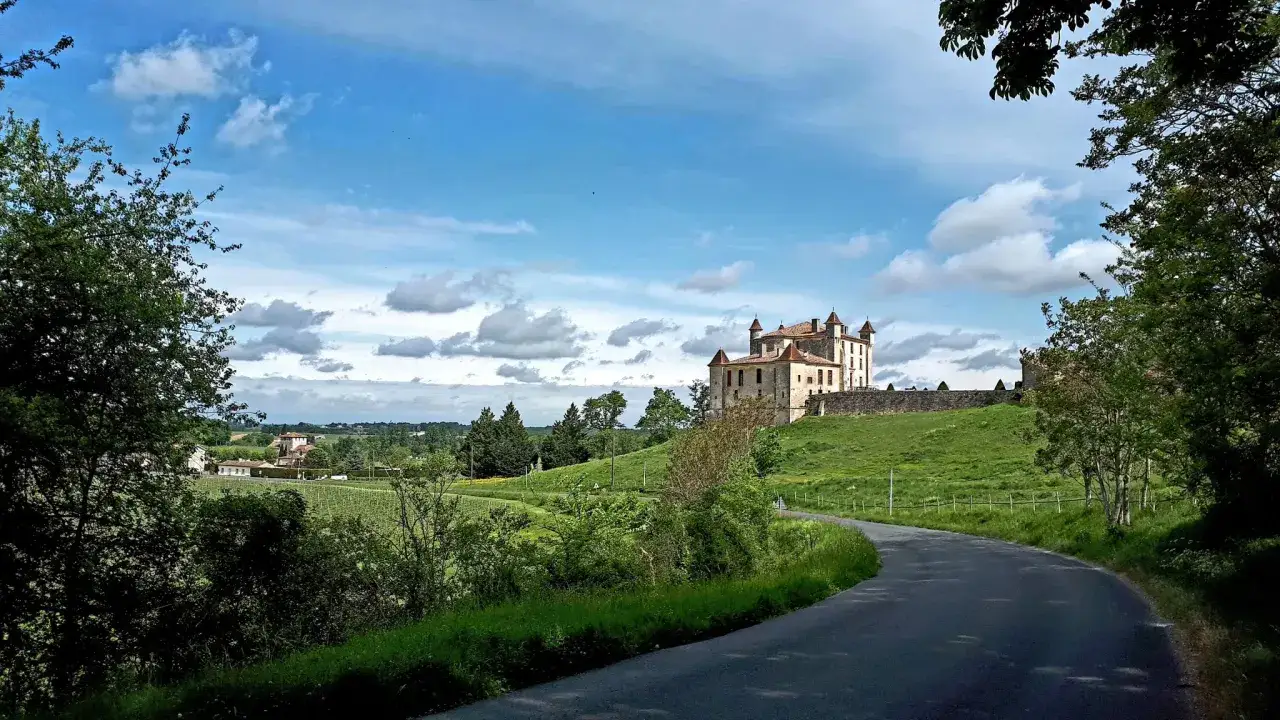 Un castello da fiaba domina una collina verdeggiante, circondato da vigneti che promettono un ottimo medoc bordeaux.