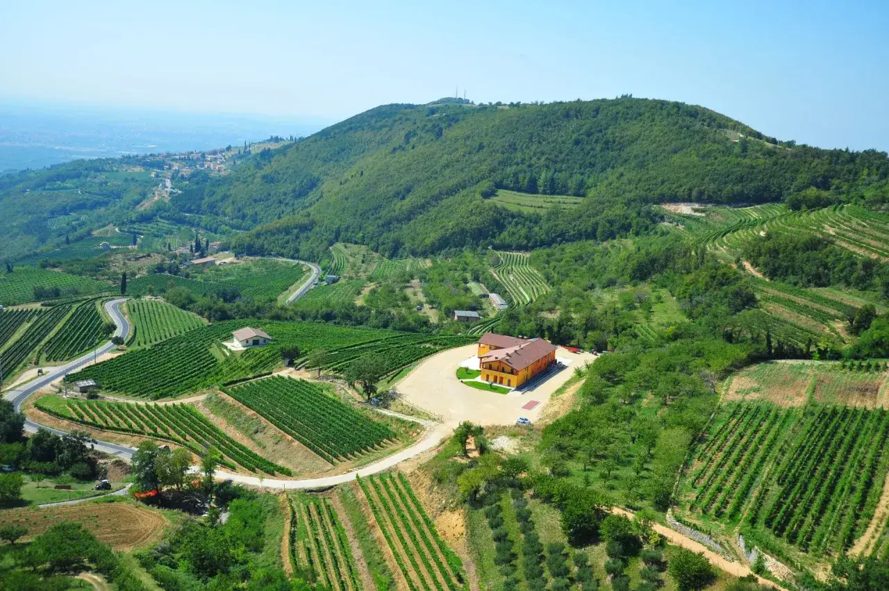 Vigneti rigogliosi e un casale giallo, immersi nel paesaggio collinare della Valpolicella, dove nasce un ottimo vino.