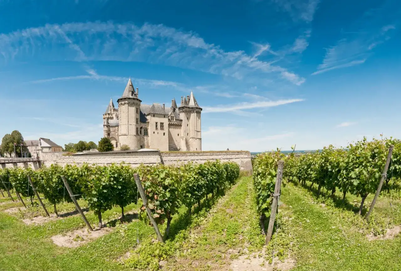 Vigneti rigogliosi davanti a un castello fiabesco, un paesaggio che evoca i pregiati vini della Loira.