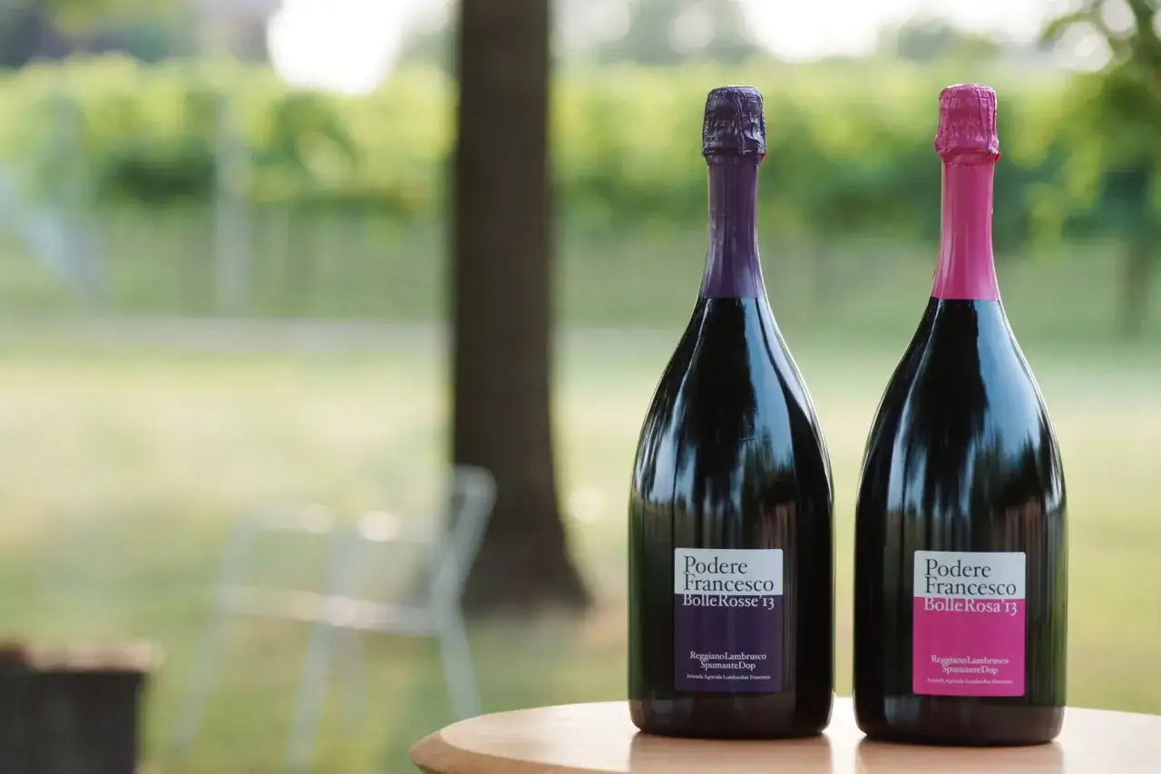 Due bottiglie di lambrusco, una con tappo viola e l'altra rosa, pronte per essere stappate. Il lambrusco è frizzante e perfetto per ogni occasione.