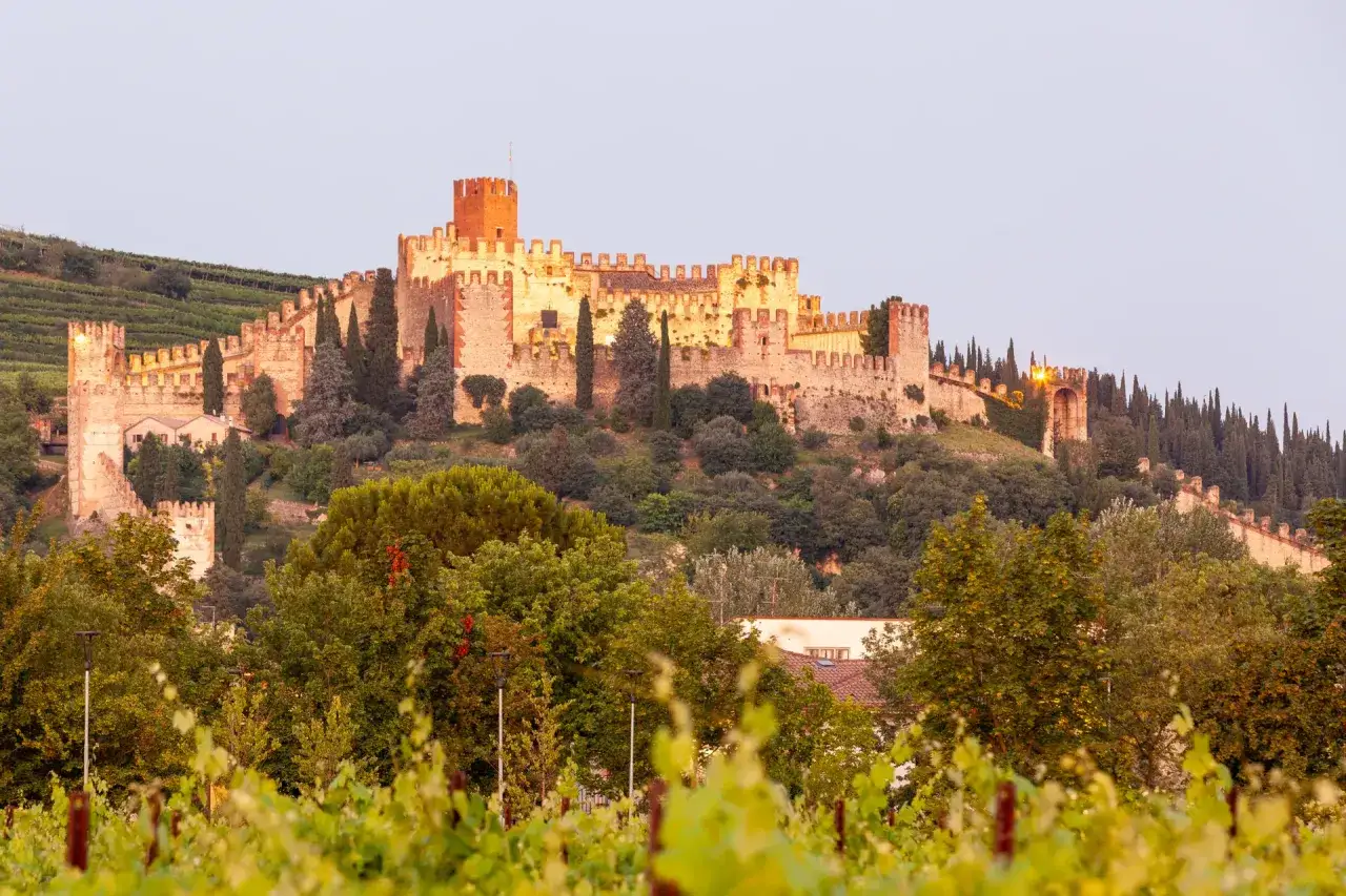 Castello illuminato su una collina, circondato da vigneti che ricordano il sapore del soave wine.