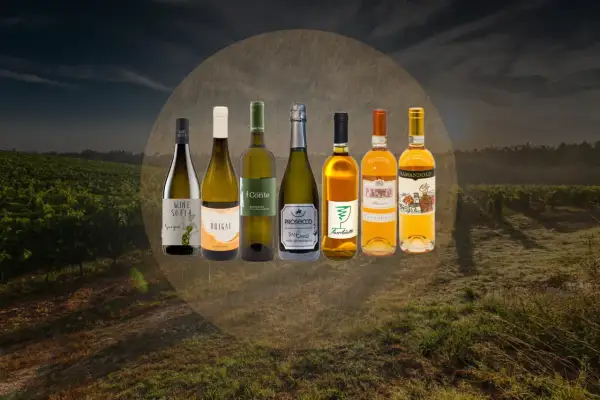 Selezione di pregiati vini bianchi del Friuli, tra cui Sauvignon, Chardonnay e Prosecco, immersi in un paesaggio di vigneti al tramonto.