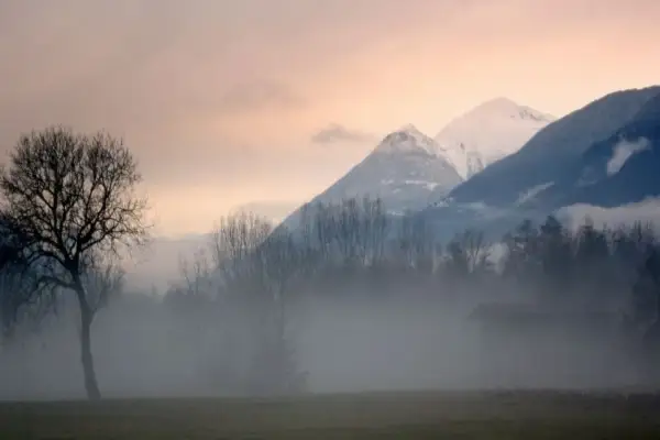 Nebbia mattutina in Valtellina, con montagne innevate sullo sfondo e un albero spoglio in primo piano. Ideale per gustare i vini Valtellina.