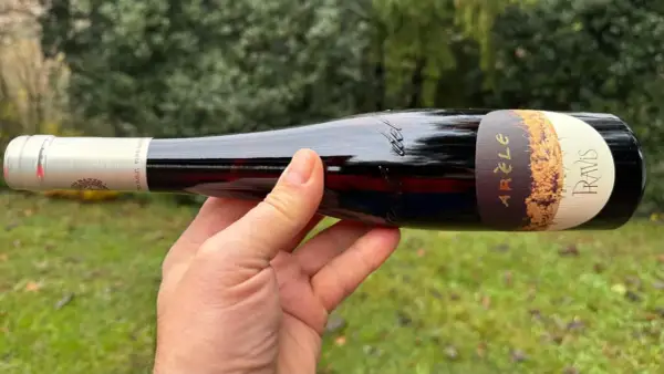 Mano che tiene una bottiglia di vino rosso, etichetta "Arèle Pravis", uno dei vini trentini famosi.
