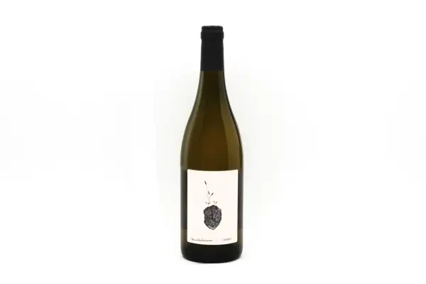 Bottiglia di vino bianco con etichetta artistica raffigurante un germoglio su un sasso. Un grechetto gentile che porta con sé la forza della terra.