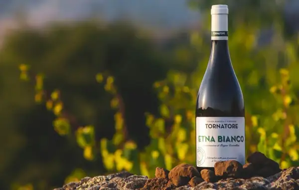 Bottiglia di Etna Bianco, uno dei pregiati vini Sicilia, su rocce vulcaniche con vigneti sullo sfondo.