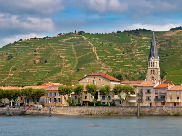 Vigneti terrazzati sul colle dietro un villaggio sul fiume Rodano, dove si produce il famoso cotes du rhone vino.