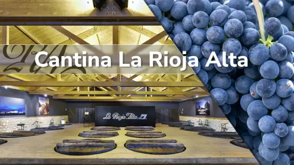 Cantina La Rioja Alta: un viaggio tra i migliori vini della Rioja, dall'uva al calice.