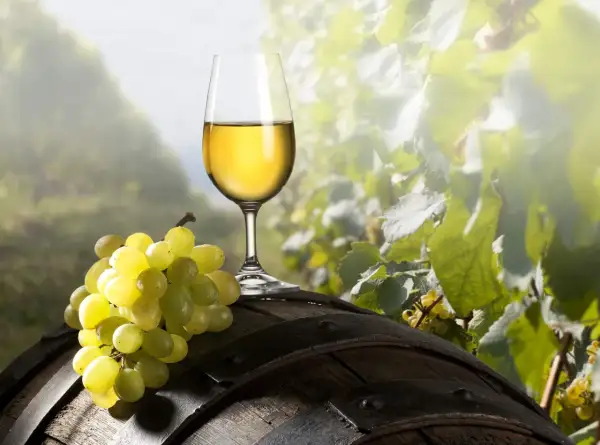 Calice di vino bianco dorato e grappolo d'uva su una botte di legno, con vigneti sullo sfondo. Un assaggio di asprinio di Aversa.
