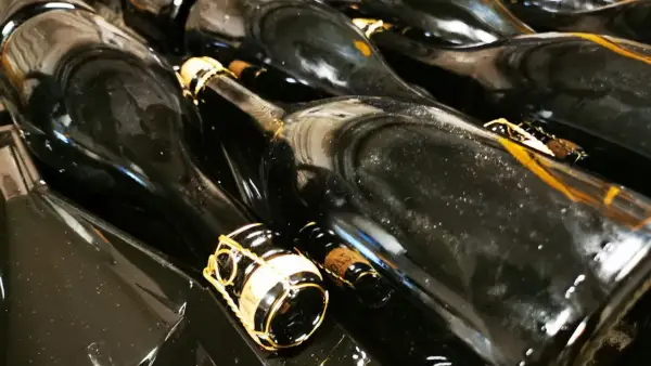 Bottiglie di vino scuro, pronte per la sboccatura. Le gabbie dorate sui tappi promettono bollicine.