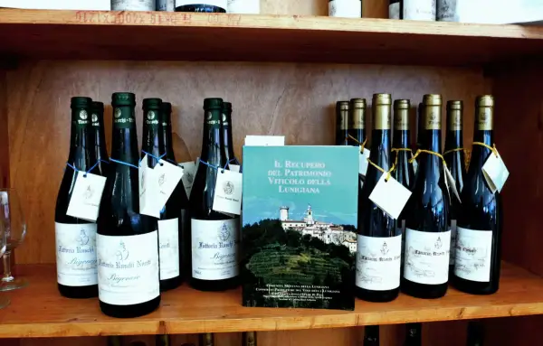 Bottiglie di vino con etichette bianche e blu, e un libro sul recupero viticolo della Lunigiana. I **colli di Luni** sono rappresentati sullo sfondo del libro.