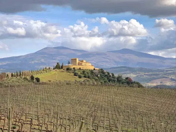 Vigneti di brunello vitigno in Toscana, con un castello in collina e montagne sullo sfondo.
