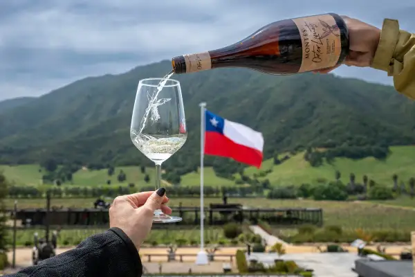 Versando vino cileno in un bicchiere, con la bandiera cilena e le colline verdi sullo sfondo.