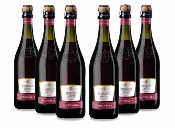 Sei bottiglie di Lambrusco Santorsola, pronte per essere stappate. Il lambrusco è frizzante, perfetto per ogni occasione.