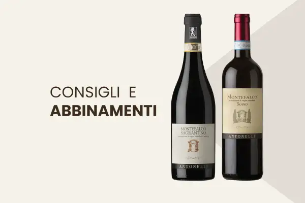 Due bottiglie di vino Antonelli, Montefalco Sagrantino e Montefalco Rosso, eccellenze DOCG Umbria, pronte per consigli e abbinamenti.