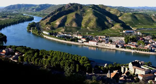 Villaggi pittoreschi lungo il Rodano, con vigneti terrazzati che salgono sui pendii verdi. Un fiume serpeggia tra i borghi, evocando l'atmosfera dei Cotes du Rhone Villages.