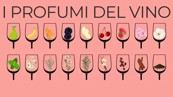 I profumi del vino: bicchieri con frutta, fiori, erbe e spezie che evocano i profumi dei vitigni aromatici.
