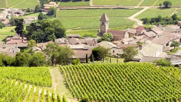 Vigneti rigogliosi circondano un villaggio con una chiesa a Pouilly.
