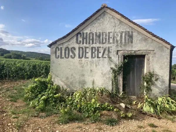 Vecchio casotto in pietra con scritta "CHAMBERTIN CLOS DE BEZE" sbiadita, circondato da vigneti rigogliosi sotto un cielo azzurro.