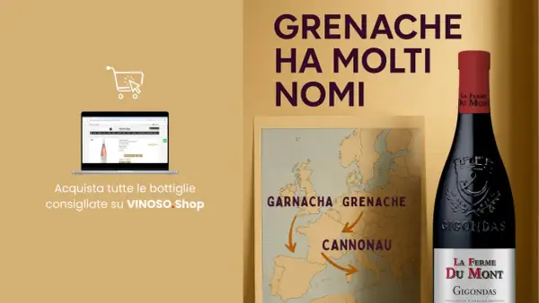 Il vino Grenache ha molti nomi: Garnacha, Cannonau. Scopri le bottiglie consigliate su VINOSO.Shop.