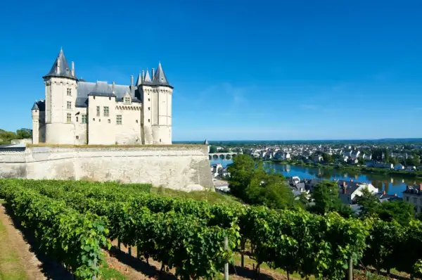 Castello medievale su una collina con vigneti rigogliosi in primo piano, con vista sulla città e sul fiume. Un paesaggio da Vouvray.